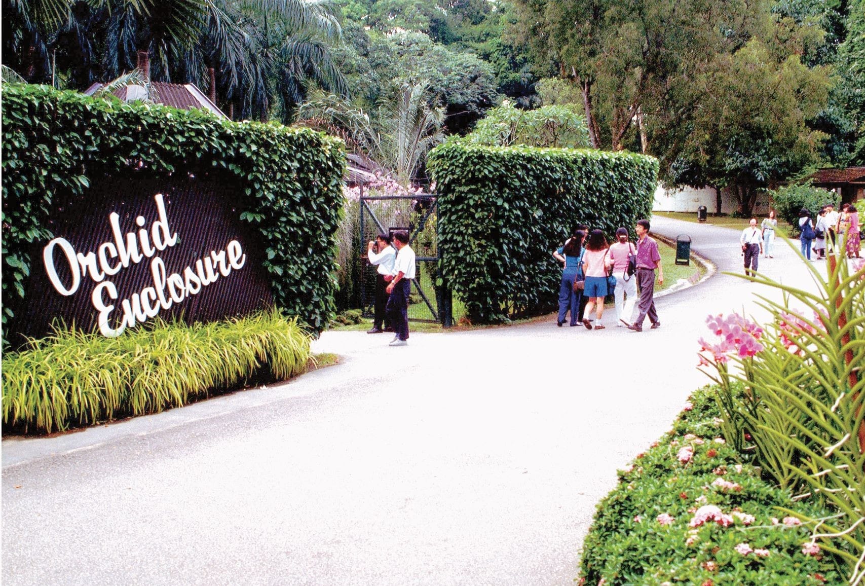 Before the three-hectare National Orchid Garden was constructed, the one-hectare Orchid Enclosure at the Singapore Botanic Gardens was home to the many varieties of orchids that were developed through the orchid breeding programme. Courtesy of Singapore Tourism Board.